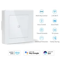 Wi-Fi выключатель CURRYSMARTER 1 клавиша, для Alexa и Google Home, таймер — фото 4