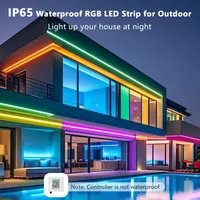 Неоновая LED-лента (10м) RGB, Bluetooth, App, Синхронизация с музыкой, Уличная (Без пульта) — фото 2