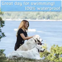 Бездротовий нашийник для собак PetSpy з пультом, водозахищений — фото 4
