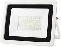 LED прожектор вуличний 30W IP68 (Білий корпус), Холодне біле 6000K, 220V