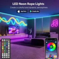 Уличная LED лента 30 метров (RGB, IP68), Музыкальная, Bluetooth App, Водонепроницаемая — фото 4