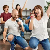 Бездротова мікрофонна система TONOR TW320 (2 мікрофони), UHF, 60м, Караоке/DJ — фото 8