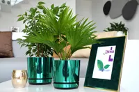 KORAD Set of 4 Pots with Saucer Diameter 16 cm, Design 087 - Green Glossy; Glamour; Modern, High Gloss, Classic, Rustic, Loft, for Plants, Herbs. — фото 4