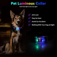 Светящийся ошейник для собак LED (USB), Водонепроницаемый IP68, Multi-Colour, S
