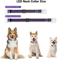 Светящийся ошейник для собак LED (USB), Водонепроницаемый IP68, Multi-Colour, S — фото 2