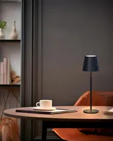 Аккумуляторная LED лампа ACKYLED 5000mAh 3 уровня высоты 3 цвета влагозащита портативная — фото 4