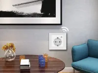Wi-Fi розумна розетка Schuko вбудована з таймером, голосове керування Google Home | UCOMEN Tuya Smart Life — фото 4