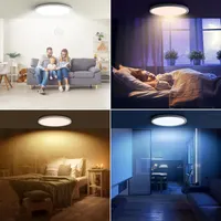 Потолочный LED-светильник AmazeFan (30см / 24Вт) с пультом, Диммируемый, Ночник, Теплый Белый — фото 3