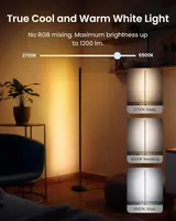 Розумний торшер SwitchBot Floor Lamp RGBICWW підтримка Matter Apple HomeKit Alexa чорний — фото 3