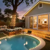 LED Hose 10 m 200 LED Outdoor IP67 Waterproof 8 Modes Dimmable Remote Control Timer Warm White Outdoor Party Wedding Christmas Decorative Light — фото 4