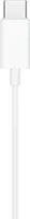 Apple EarPods (USB-C) ​