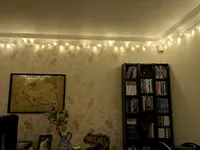 Customer photo from the review