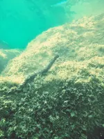 Фото покупця з відгуку