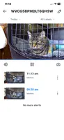 Фото покупця з відгуку