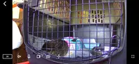 Фото покупця з відгуку