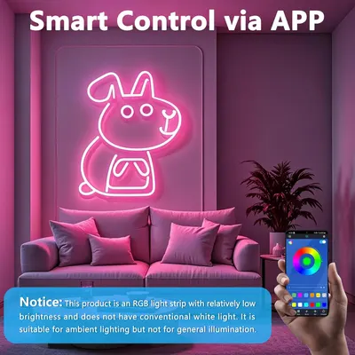Неоновая LED-лента (10м) RGB, Bluetooth, App, Синхронизация с музыкой, Уличная (Без пульта)