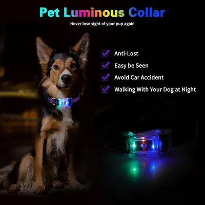 Світящийся нашийник для собак LED (USB), Водонепроникний IP68, Multi-Colour, S