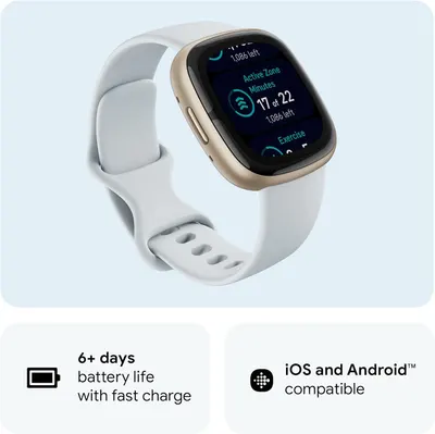 Розумний смарт-годинник Fitbit Sense 2 (Blue Mist/Pale Gold), Фітнес-трекер з GPS та ЕКГ БВ